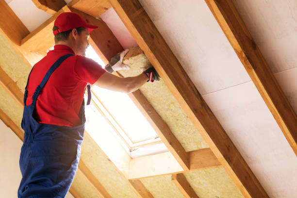 Best Basement Insulation  in Linda, CA